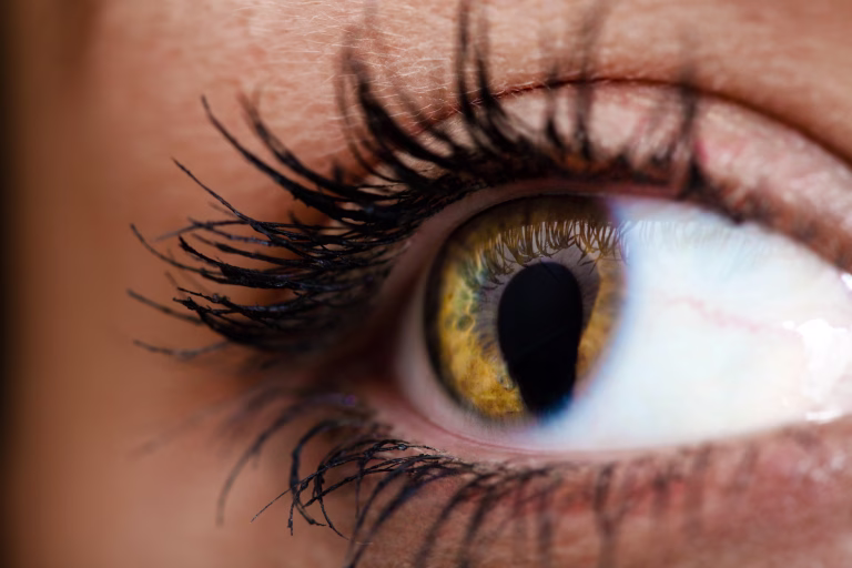 EYE, LASHES, MASCARA, BROWN