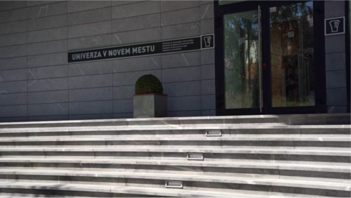 Univerza v Novem mestu