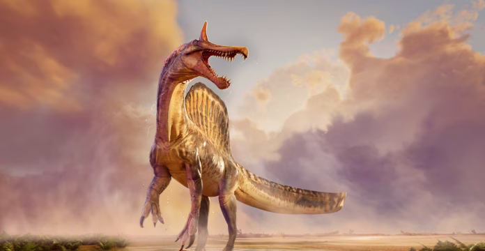 Spinozaver Spinozaver