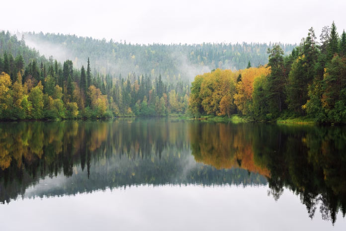 A view to a calm Oulanka river with reflection of an autumnal forest on misty morning in Northern Finland