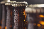 The group of wet bottles of beer