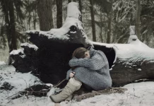 Kaj je zimska depresija in kako jo prepoznati? winter's tale, winter in the woods