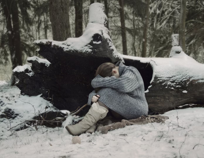 winter's tale, winter in the woods