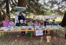 Kaj so gozdne učilnice, ki jih bo Slovenija postavila po vsej državi? Gozdna učilnica