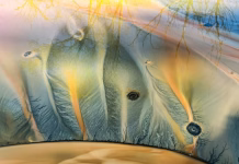 Sodelujte v natečaju HUAWEI XMAGE Awards 2026 Nagrajena mobilna fotografija