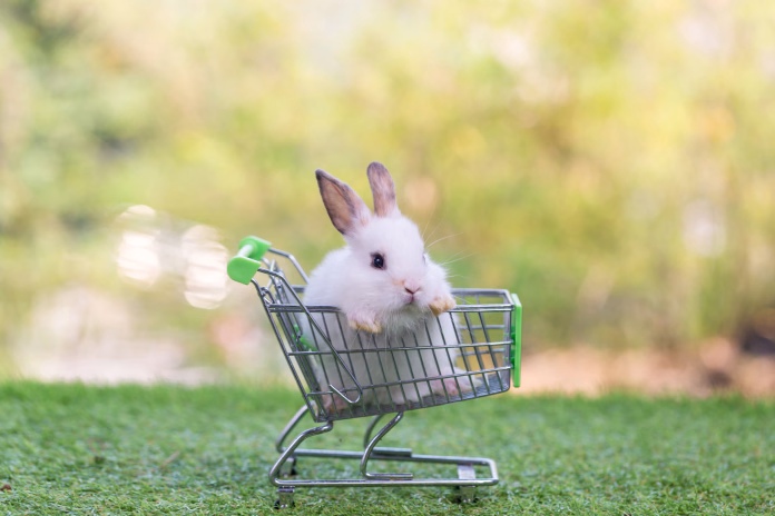 Baby rabbit with shopping cart on green grass and bokeh background. Adorable and cute new born rabbit as shopping online concept. Lovely bunny Easter fluffy baby rabbit.
