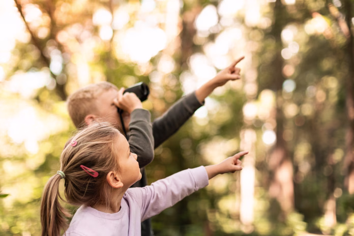 Children exploring a forest together.