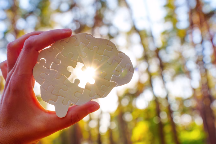 Hand holding a puzzle piece shaped like a brain, sunlight shining through in a forest setting.