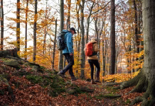 Najboljši pohodi za 1. maj, ki se jih lahko udeležiš v Sloveniji Hiking in autumn. Two hikers is walking in forest. Couple with backpacks trekking together in woodland