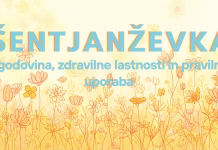 Šentjanževka: Naravni antidepresiv z naših travnikov, ki so ga poznali že v antiki naslovna slika - šentjaževka