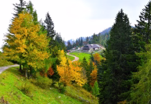 Skriti biser Gorenjske: Planina Prevala kot popoln enodnevni izlet View of mountain lodge at Prevala and trees with yellow autumn foliage in Karavanke mountains, Gorenjska, Slovenia