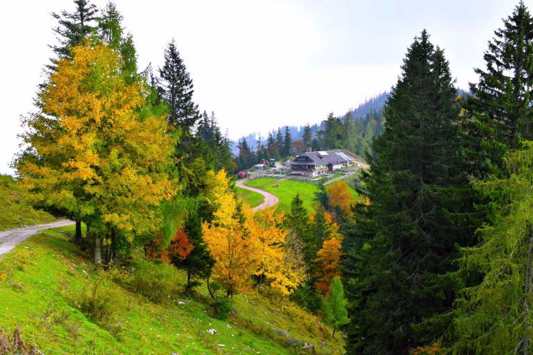 View of mountain lodge at Prevala and trees with yellow autumn foliage in Karavanke mountains, Gorenjska, Slovenia