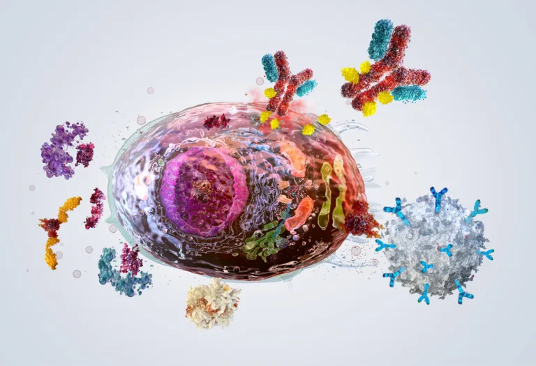 Advanced Immunotherapies targeting Senescent Cells. Therapeutic mechanisms, incl. pharmacological senolytics, Antibody-Drug conjugates (ADC), and CAR-T Cell Immunotherapy. Immune System's phagocytosis process with specific molecular targets. Biotech, aging concept