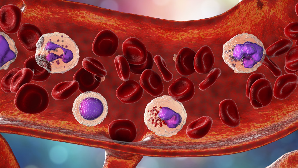 Blood flow. Computer illustration showing different types of blood cells, erythrocytes, neutrophil, lymphocyte, eosinophil, basophil and platelets