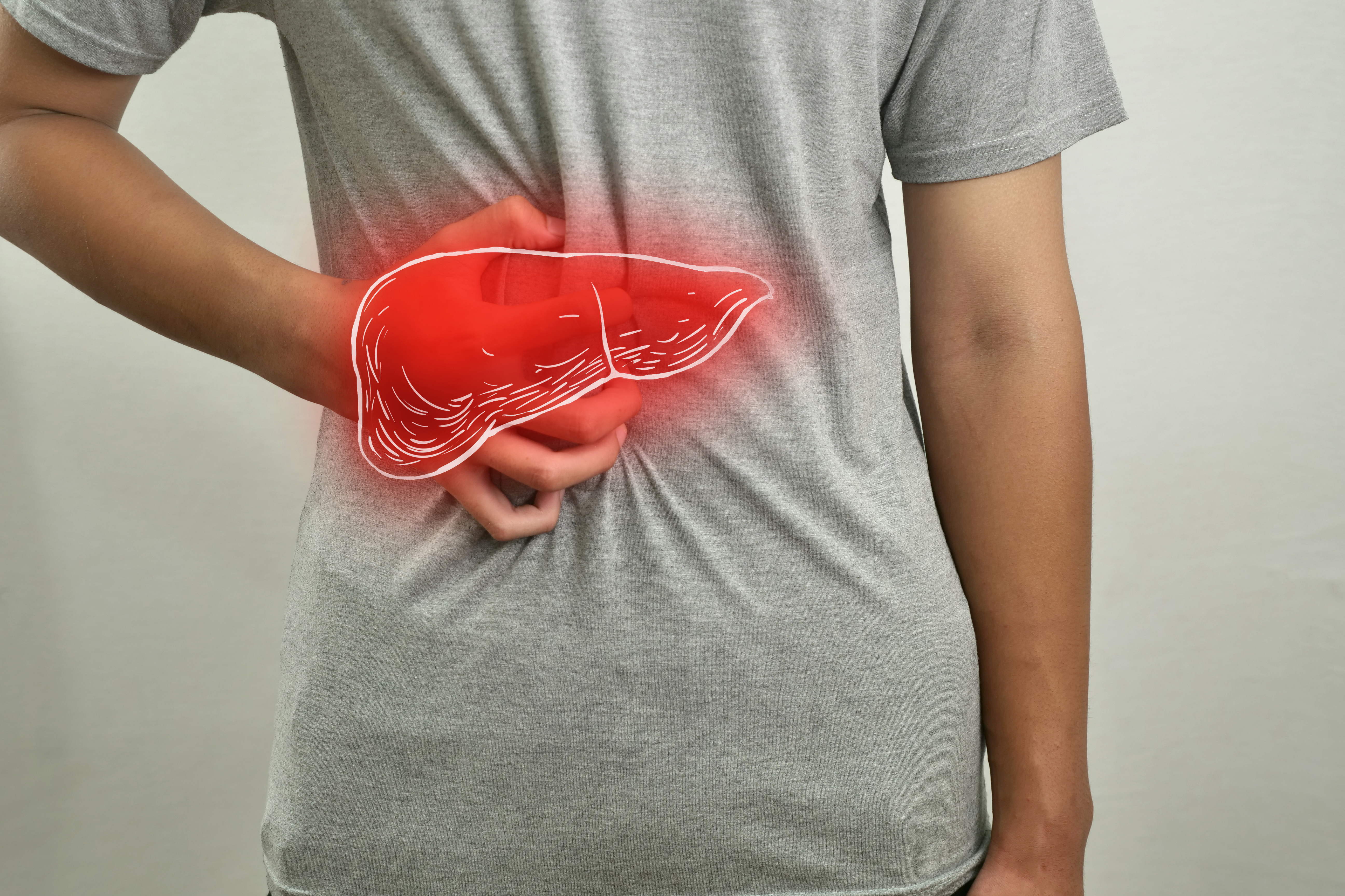 Digital composition of human liver with highlighted red inflammation on sick person, man with stomach pain, health and medical concept