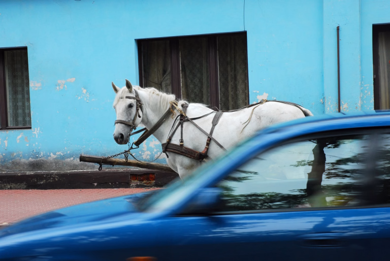 horse and car on street in small town