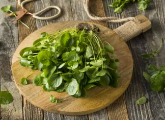 Najbolj zdravo zelenjavo na svetu najdete na skoraj vsaki tržnici: edina ima oceno 100/100, a jo vsi spregledajo Raw Green Organic Living Water Cress Ready to Eat