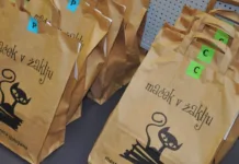 Ne veste, kaj bi brali na dopustu? V Ljubljani so pripravili rešitev Maček v žaklju