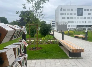 V Ljubljani se je odprl nov park: Kaj lahko vidimo in kje se nahaja? Park