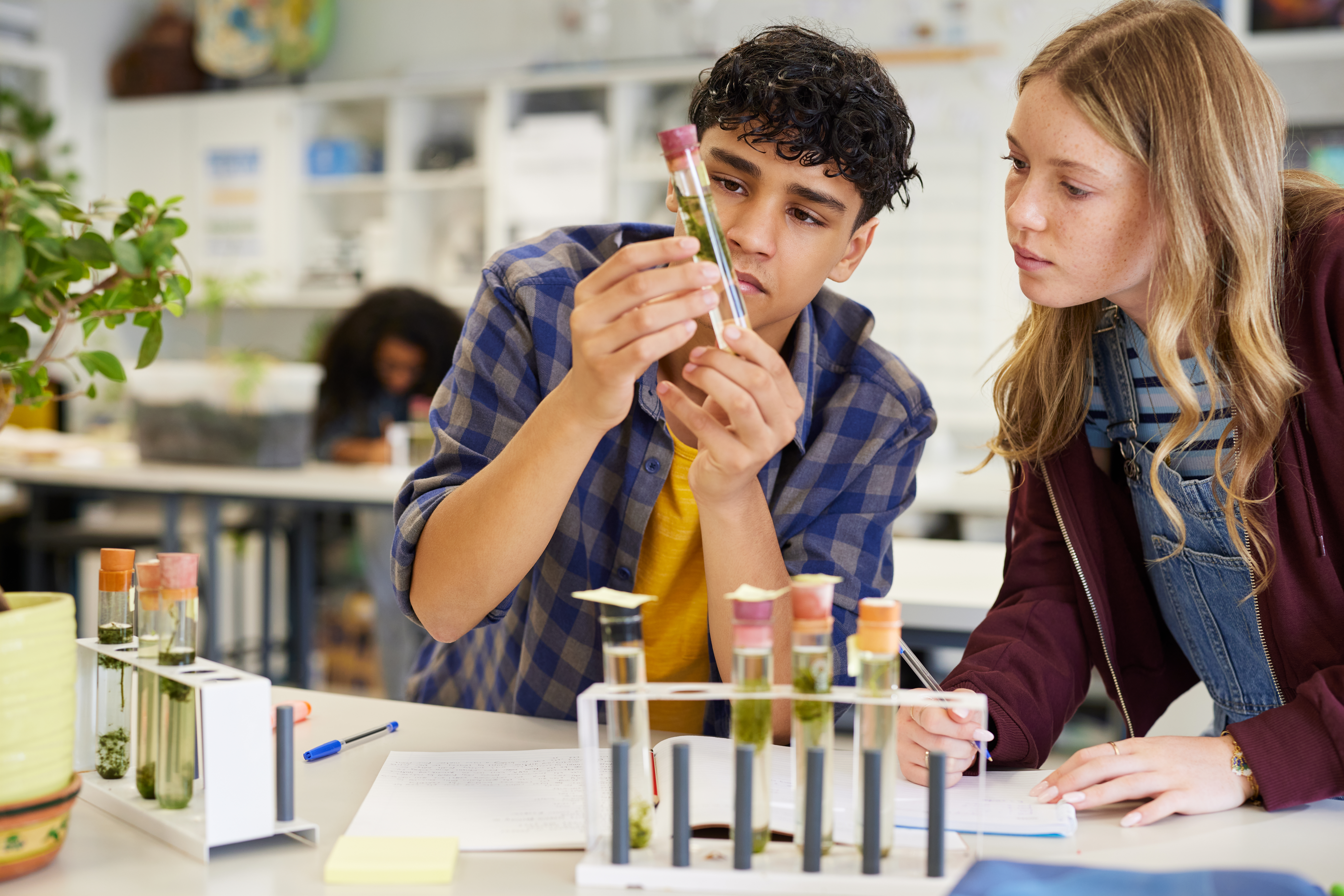 Casual student examining a test tube filled with plant samples during science experiment at high school. Focused guy conducting science activity with lab materials on desk. Multiethnic classmates analyzing samples and taking notes during biology lab session.