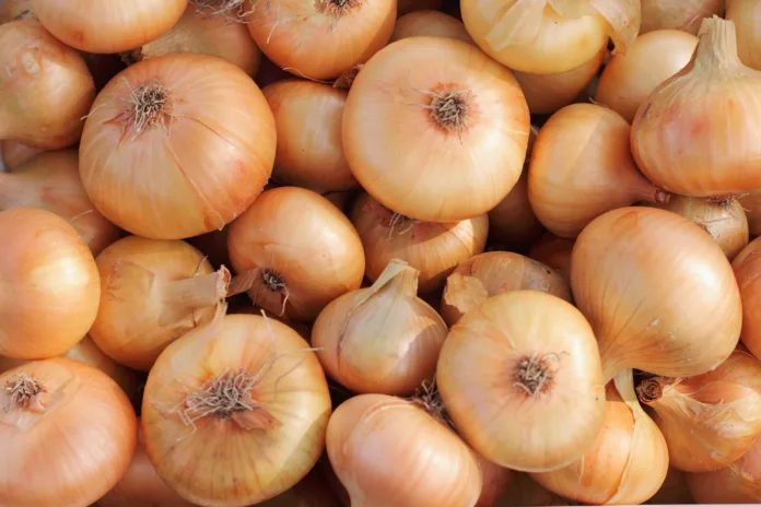 Fresh onion background. Blank for design, copy space, print for label