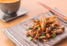 5 stvari, ki jih ne veste o insektnih proteinih Fried insects - Wood worm insect crispy with pandan after fried and add a light coating of sauce and garnish Thai pepper powder with chopsticks, tea, on wooden background, Select focus