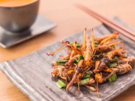Fried insects - Wood worm insect crispy with pandan after fried and add a light coating of sauce and garnish Thai pepper powder with chopsticks, tea, on wooden background, Select focus