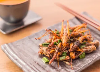 5 stvari, ki jih ne veste o insektnih proteinih Fried insects - Wood worm insect crispy with pandan after fried and add a light coating of sauce and garnish Thai pepper powder with chopsticks, tea, on wooden background, Select focus