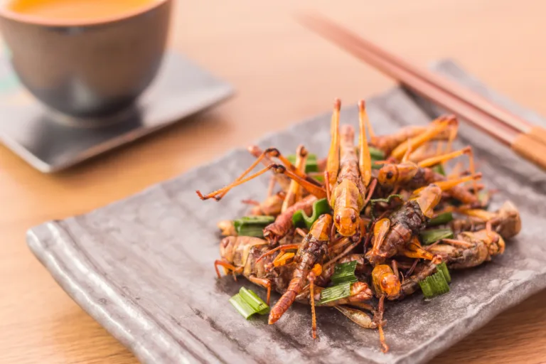 Fried insects - Wood worm insect crispy with pandan after fried and add a light coating of sauce and garnish Thai pepper powder with chopsticks, tea, on wooden background, Select focus