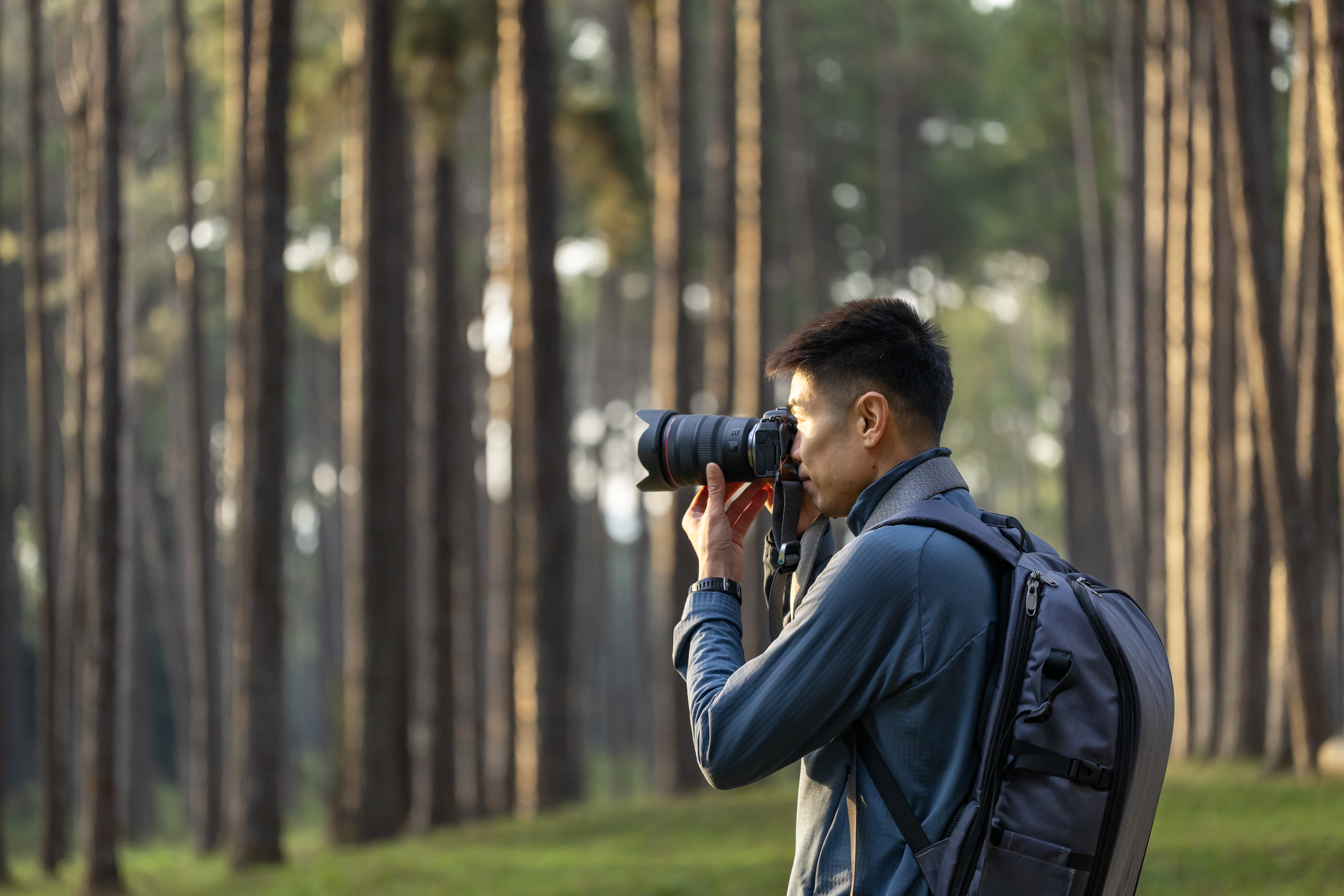Photographer is taking photo of the new discovering bird species while exploring in the pine forest for surveying and locating rare biological diversity and ecologist on the field study