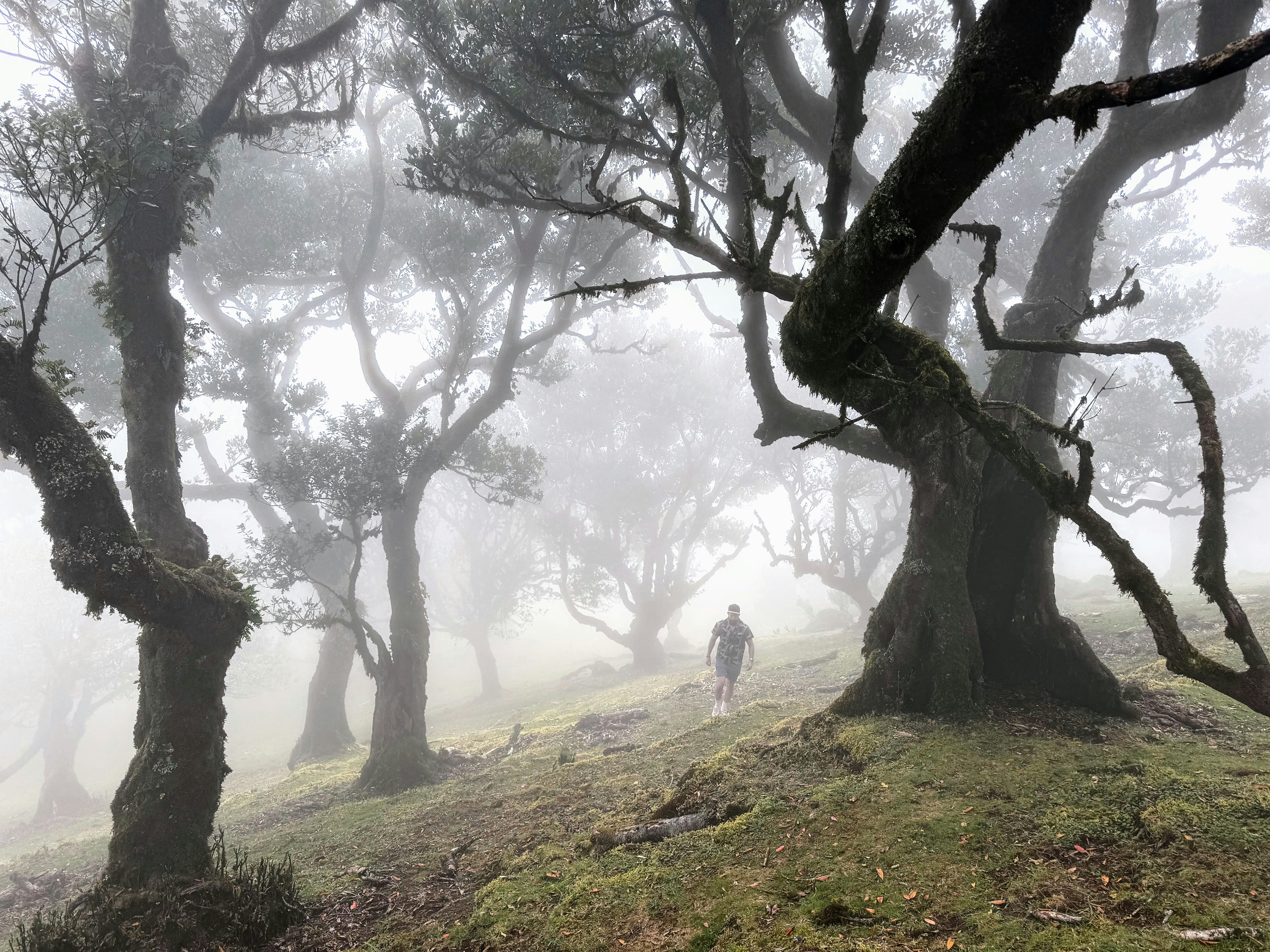 Madeira