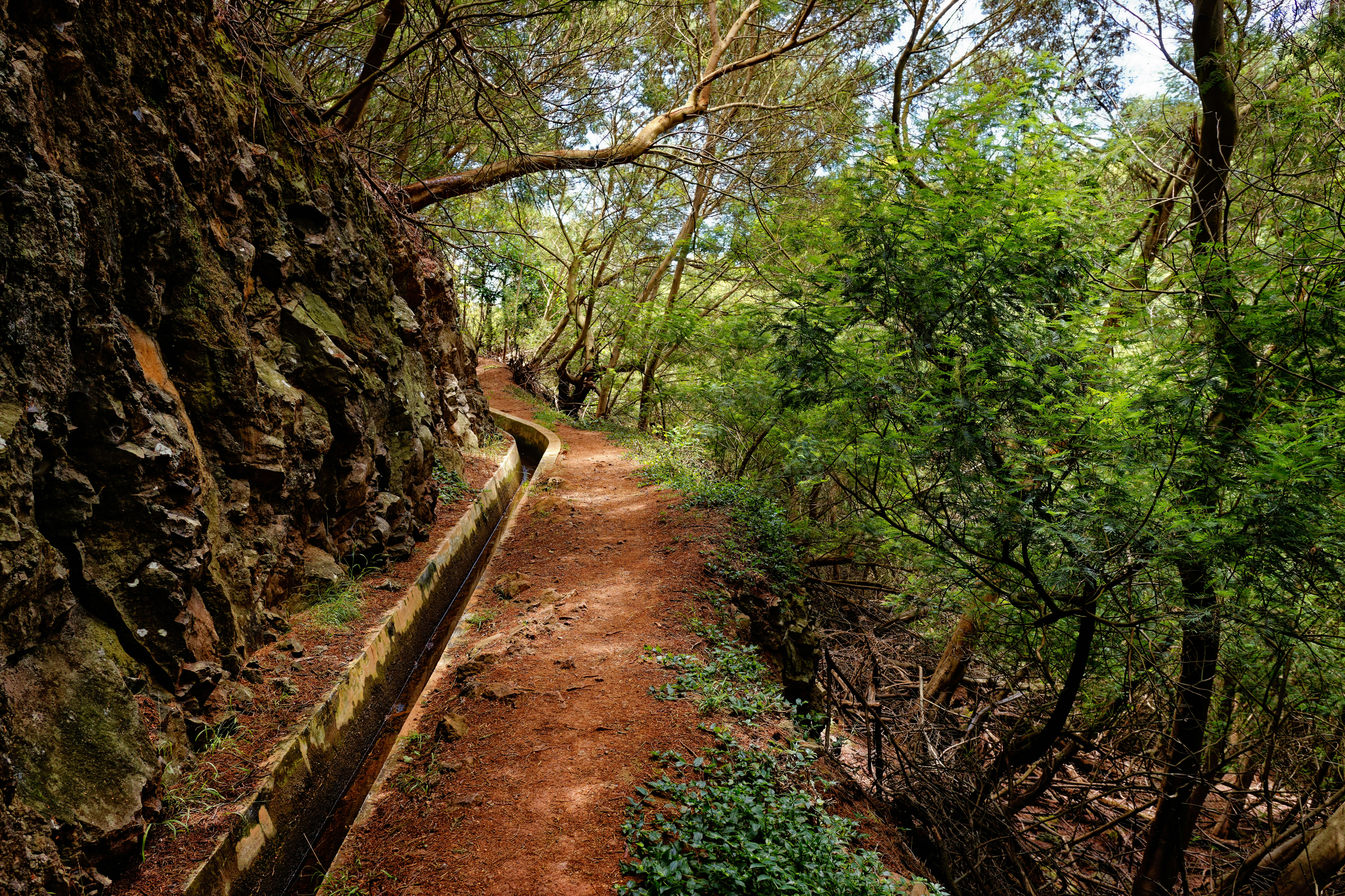 Madeira
