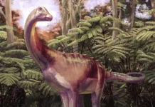 Prvi dinozaver odkrit na Antarktiki, ni bil to, kar smo mislili Dinozaver