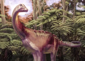 Prvi dinozaver odkrit na Antarktiki, ni bil to, kar smo mislili Dinozaver