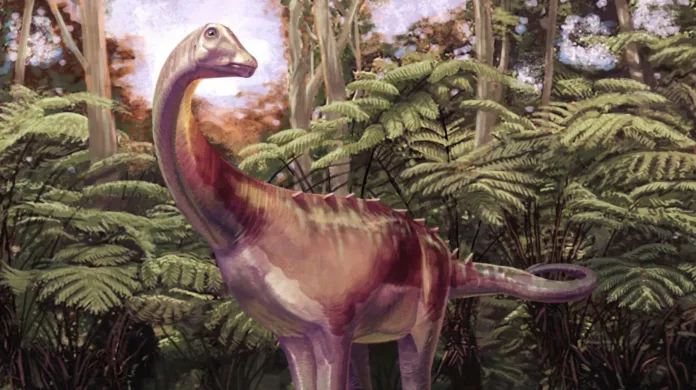 Dinozaver