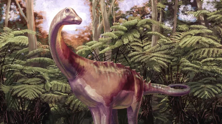 Prvi dinozaver odkrit na Antarktiki, ni bil to, kar smo mislili