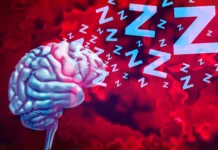 To se v možganih zgodi med globokim spanjem: Znanstveniki prvič razkrili mehanizem Brain And Sleep as cognitive health by promoting deep sleep and REM or Rapid Eye Movement to improve memory and regulate the amygdala to help mood and reduce anxiety to maintain a healthy well rested mind.
