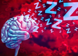 To se v možganih zgodi med globokim spanjem: Znanstveniki prvič razkrili mehanizem Brain And Sleep as cognitive health by promoting deep sleep and REM or Rapid Eye Movement to improve memory and regulate the amygdala to help mood and reduce anxiety to maintain a healthy well rested mind.