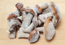 Gobe imate lahko v zamrzovalniku le toliko časa: Drugače je lahko nevarno za vas Frozen edible mushrooms lie on a cutting Board. Delicious boletus for cooking