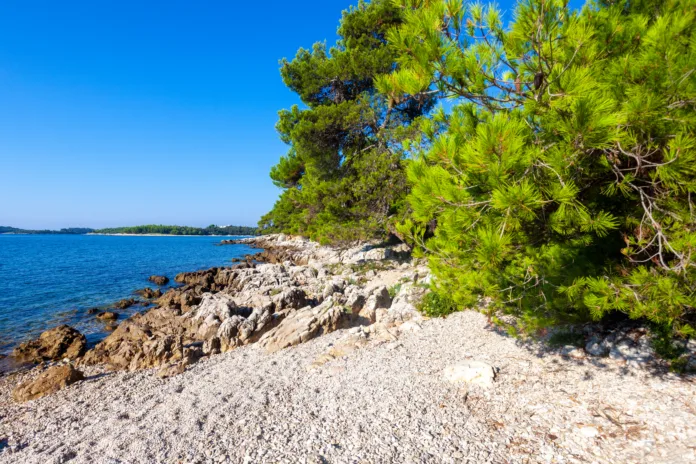 The natural beach in Rovinj town, Croatia