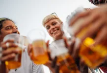 Pivo in cvetje 2026: Program, koncerti, zapore cest, parkiranje in vlak za 4 € – vse na enem mestu Pivo in cvetje 2026