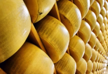 Italijani so sir spremenili v bančno valuto, zdaj ga ogroža vročina parmigiano reggiano, cheese, italy, italian, food, dairy, gourmet, parmesan, cuisine, cooking, brown cooking, parmigiano reggiano, parmigiano reggiano, parmesan, parmesan, parmesan, parmesan, parmesan