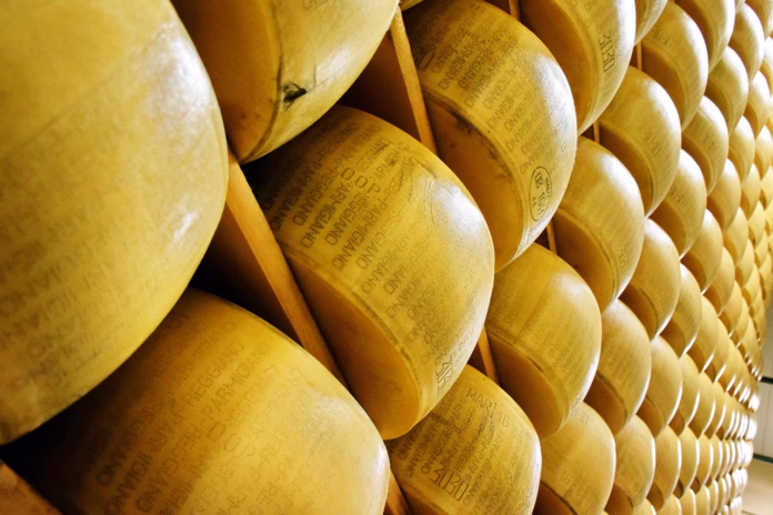 parmigiano-reggiano-cheese-italy-italian-food-dairy-gourmet-parmesan-cuisine-cooking-brown-cooking-stockpack-pixabay parmigiano reggiano, cheese, italy, italian, food, dairy, gourmet, parmesan, cuisine, cooking, brown cooking, parmigiano reggiano, parmigiano reggiano, parmesan, parmesan, parmesan, parmesan, parmesan