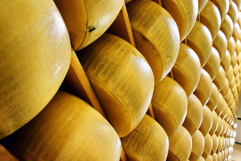 parmigiano reggiano, cheese, italy, italian, food, dairy, gourmet, parmesan, cuisine, cooking, brown cooking, parmigiano reggiano, parmigiano reggiano, parmesan, parmesan, parmesan, parmesan, parmesan