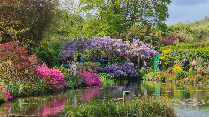 the-famous-french-impressionist-painter-claude-monet-was-always-fascinated-by-the-play-of-light-and-the-reflections-of-clouds-on-water-his-many-canvases-painted-on-his-floating-studio-in-argenteuil-or-stockpack-istock The famous French Impressionist painter Claude Monet was always fascinated by the play of light and the reflections of clouds on water. His many canvases painted on his floating studio, in Argenteuil or on the canals of Holland, demonstrate his fascination with the reflections in these liquid mirrors. In 1893, he acquired a plot of land located at the end of the Clos Normand, on the other side of the railway, and diverted the small arm of the Epte, the Ru. The pond thus created would become the "water garden," now featured on the walls of the world's greatest museums. Today, in the Normandy village of Giverny, you can visit Claude Monet's house and garden, where you can see the famous "Water Lily Pond" and its small bridge that inspired most of the painter's paintings.